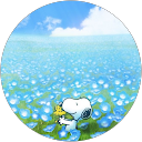 aco profile picture