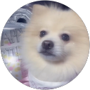 ここ profile picture